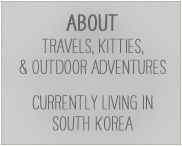 Travels, Kitties, Outdoor Adventures in Korea